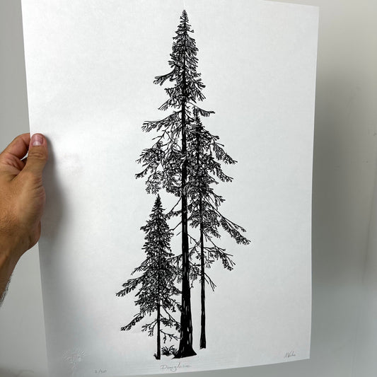 Douglasie Linoldruck