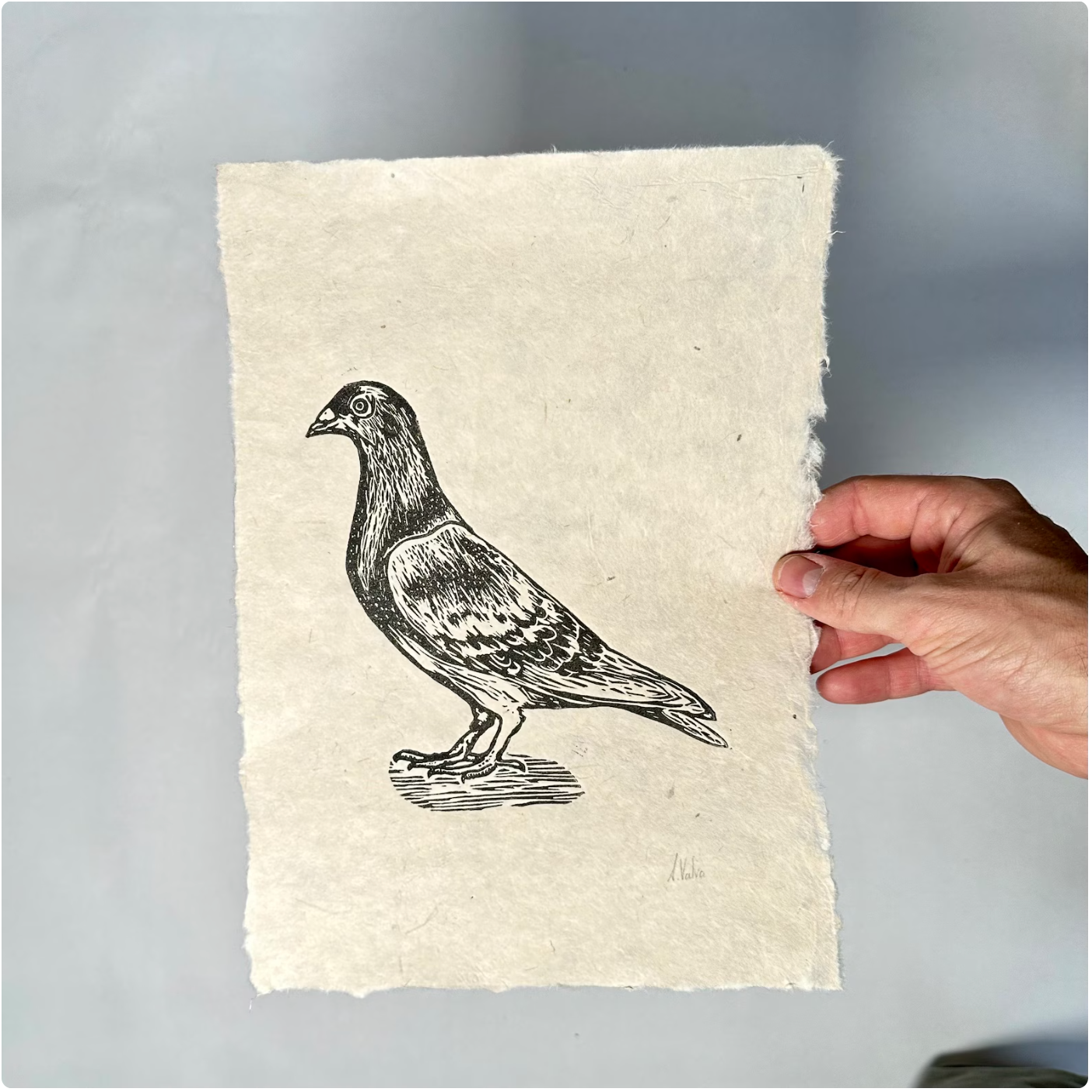 Mittlerer Linoldruck Taube