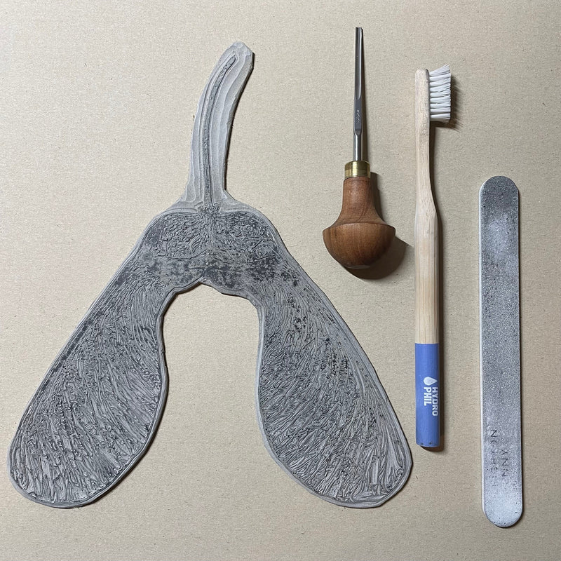 Ahornbaum Samen Linoldruck | detailreicher Linolschnitt 30x30cm | kanadischer Ahorn | besondere Geschenkidee | weltweit kostenloser Versand