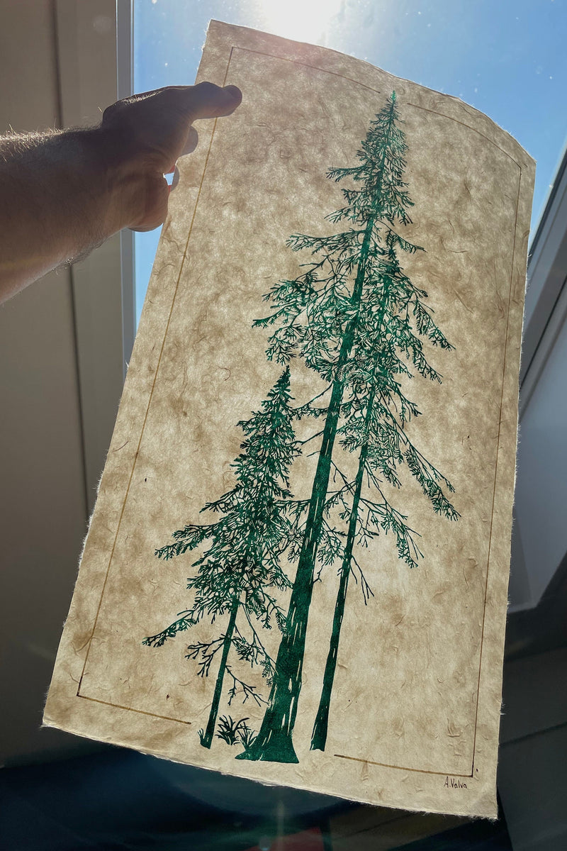 Douglasie Linoldruck in grün | handgemachter Druck | besondere Geschenkidee | geschöpftes Himalaya-Papier | Natur Wald | kostenloser Versand