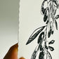 Olivenzweig Linoldruck | detailreicher Linolschnitt DIN A4 | mediterrane Wanddekoration | handgemachter Druck | Geschenkidee