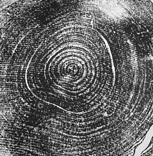 Baumstamm Linoldruck