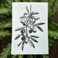 Olivenzweig Linoldruck | detailreicher Linolschnitt DIN A4 | mediterrane Wanddekoration | handgemachter Druck | Geschenkidee