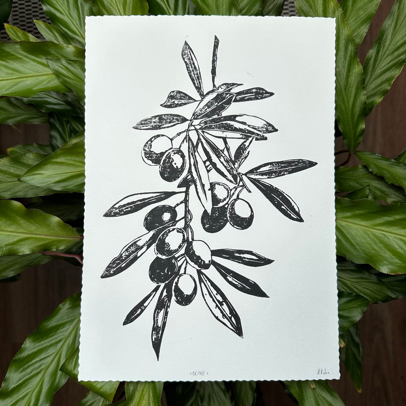 Olivenzweig Linoldruck | detailreicher Linolschnitt DIN A4 | mediterrane Wanddekoration | handgemachter Druck | Geschenkidee