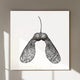 Ahornbaum Samen Linoldruck | detailreicher Linolschnitt 30x30cm | kanadischer Ahorn | besondere Geschenkidee | weltweit kostenloser Versand
