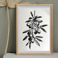 Olivenzweig Linoldruck | detailreicher Linolschnitt DIN A4 | mediterrane Wanddekoration | handgemachter Druck | Geschenkidee
