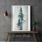 Douglasie Linoldruck in grün | handgemachter Druck | besondere Geschenkidee | geschöpftes Himalaya-Papier | Natur Wald | kostenloser Versand
