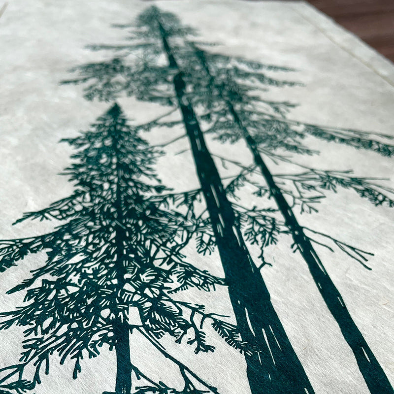 Douglasie Linoldruck in grün | handgemachter Druck | besondere Geschenkidee | geschöpftes Himalaya-Papier | Natur Wald | kostenloser Versand