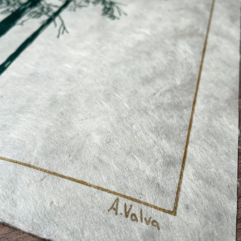 Douglasie Linoldruck in grün | handgemachter Druck | besondere Geschenkidee | geschöpftes Himalaya-Papier | Natur Wald | kostenloser Versand