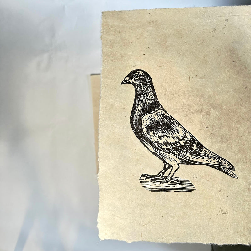 Stadttaube Linoldruck schwarz | detailreicher Linolschnitt DIN A4 | handgemachter Druck | besondere Geschenkidee | Himalaya-Papier