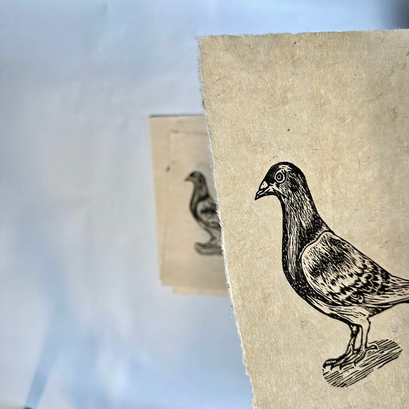 Stadttaube Linoldruck schwarz | detailreicher Linolschnitt DIN A4 | handgemachter Druck | besondere Geschenkidee | Himalaya-Papier