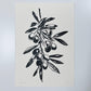 Olivenzweig Linoldruck | detailreicher Linolschnitt DIN A4 | mediterrane Wanddekoration | handgemachter Druck | besondere Geschenkidee