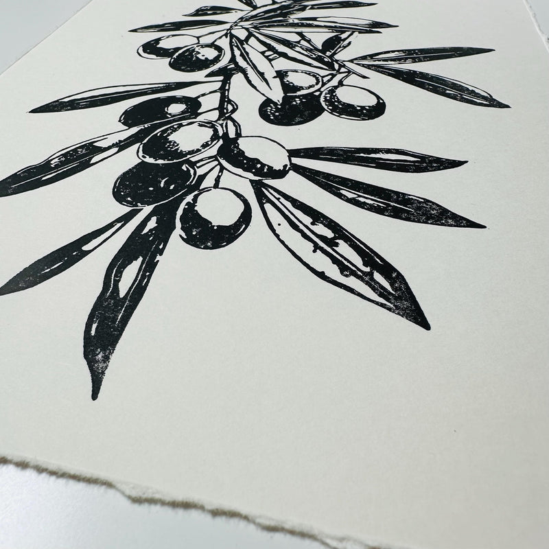 Olivenzweig Linoldruck | detailreicher Linolschnitt DIN A4 | mediterrane Wanddekoration | handgemachter Druck | besondere Geschenkidee
